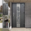 Picture of Dark Grey Metal Entrance Door-in-Door