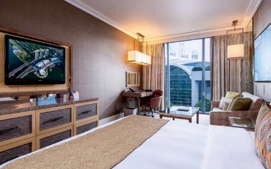 Picture of Marina Bay Sands Singapore