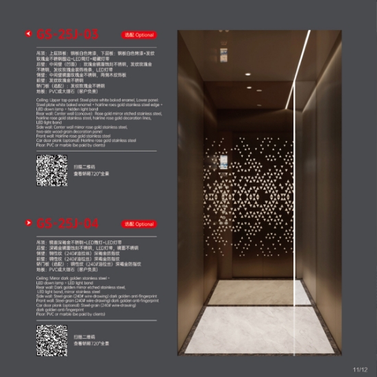 Picture of Villa Elevator G5-25J-03 GS-251-04